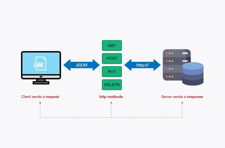 API Automation & Testing
